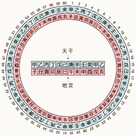 兔年天干地支|天干属性 干支纪年对照表